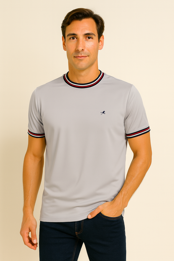 Camiseta C/R gris claro para hombre